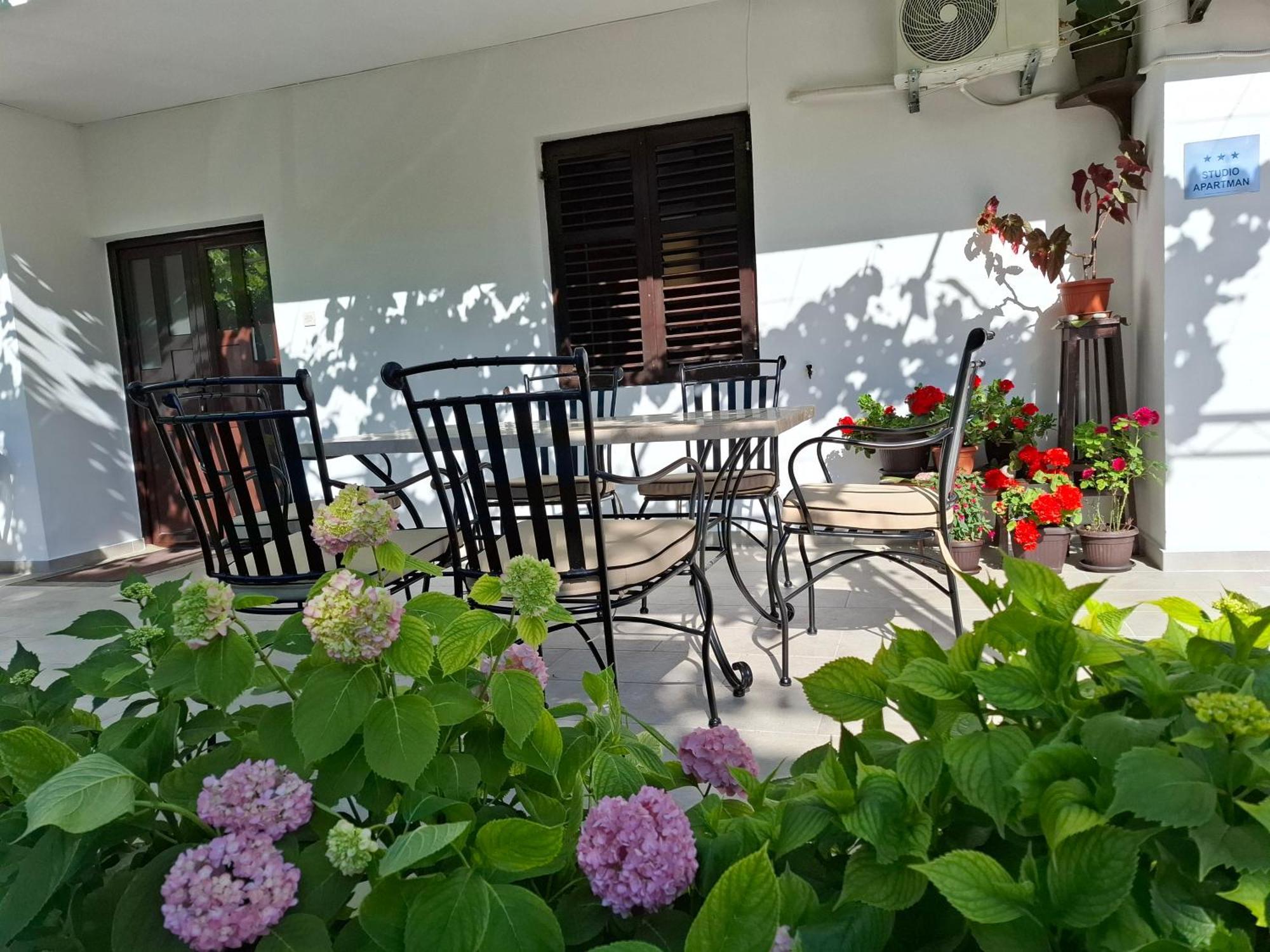 Apartment Cizek Kotor Bagian luar foto