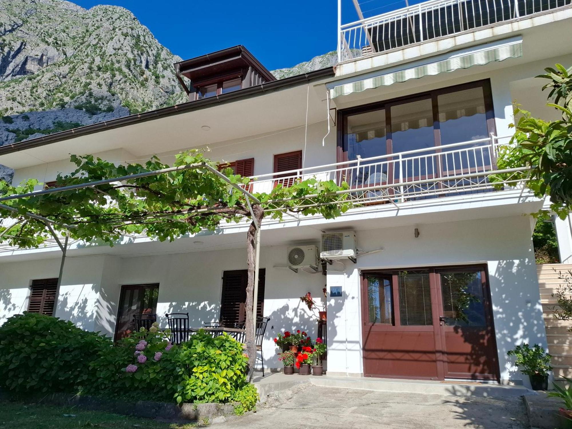 Apartment Cizek Kotor Bagian luar foto
